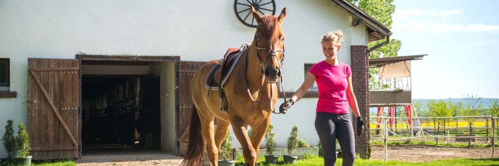 Pour un retour du cheval au box réussi !